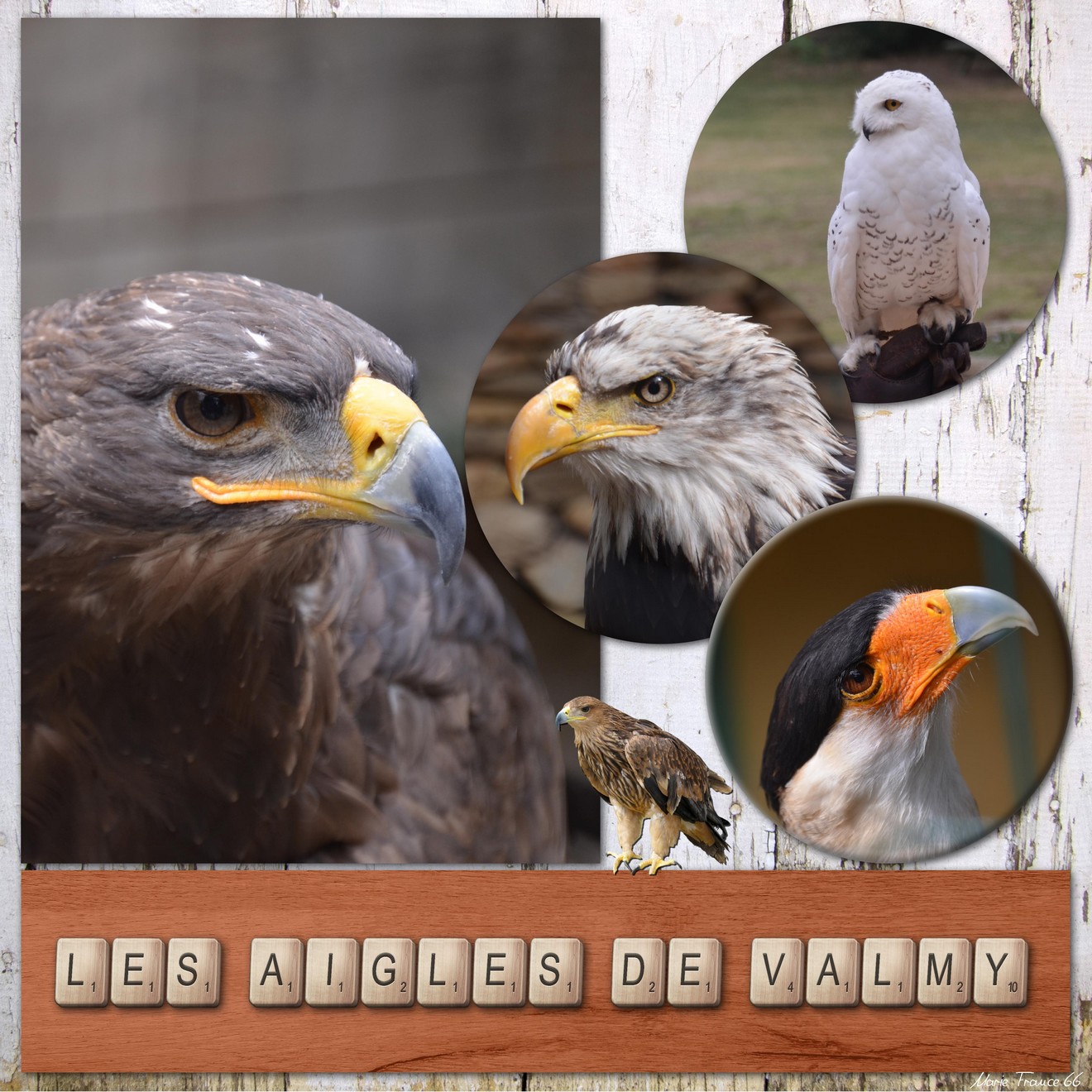 DICTEE DIDIER RENTREE SEPTEMBRE.jpg