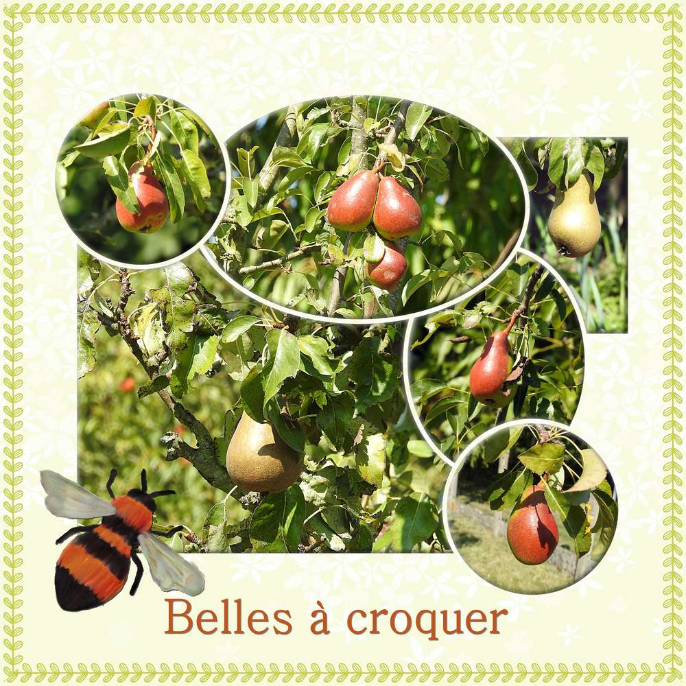 DICTEE FIN DES VACANCES PROPOSEE PAR MAMYROSE-MOYSON