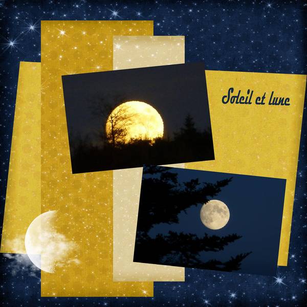 Dictée janvier 2014