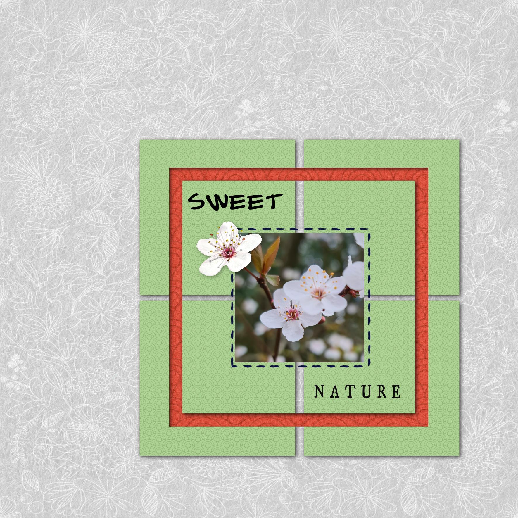 dictee juillet 2022 fleurs cerisier.jpg