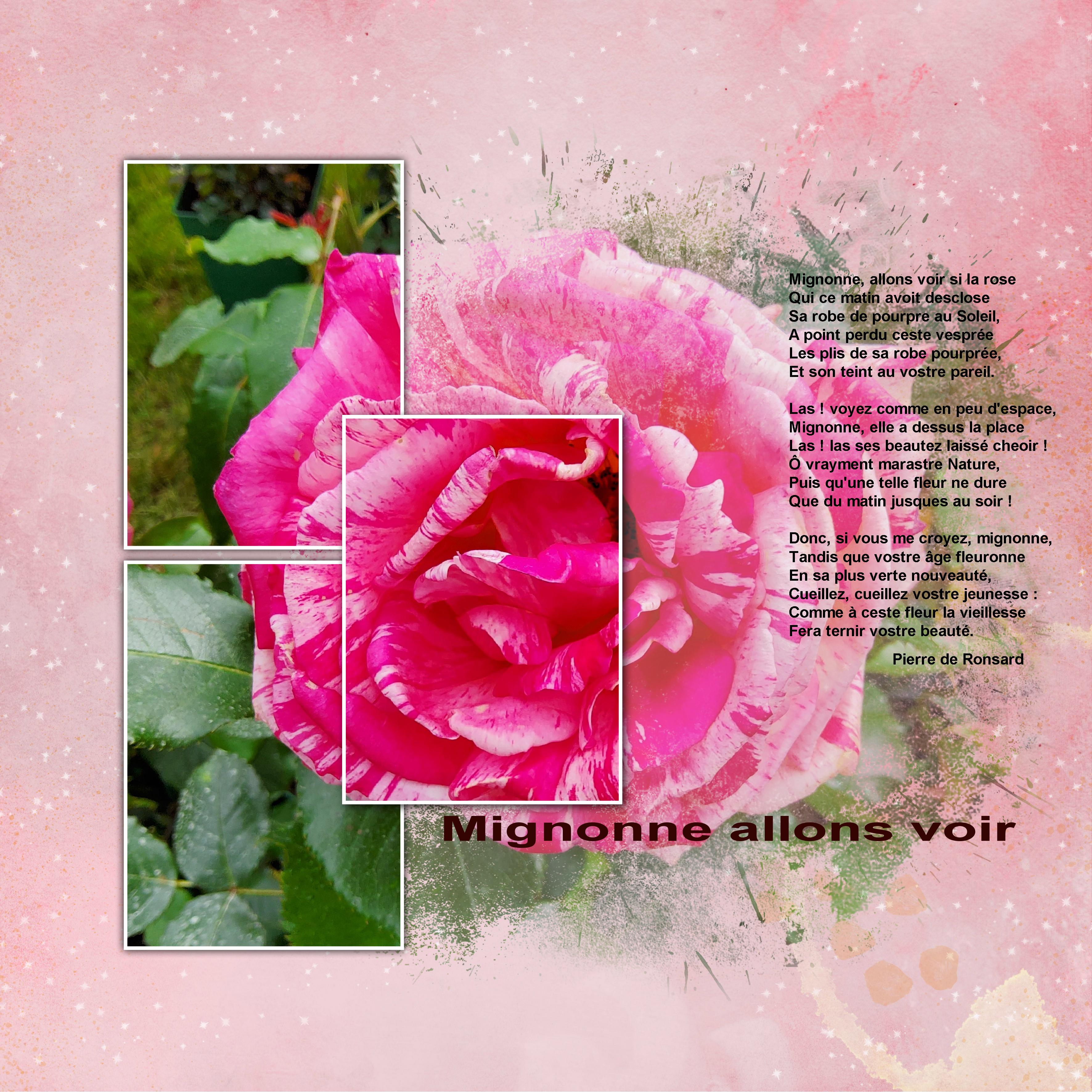 Dictée juin 2021 (page 2).jpg