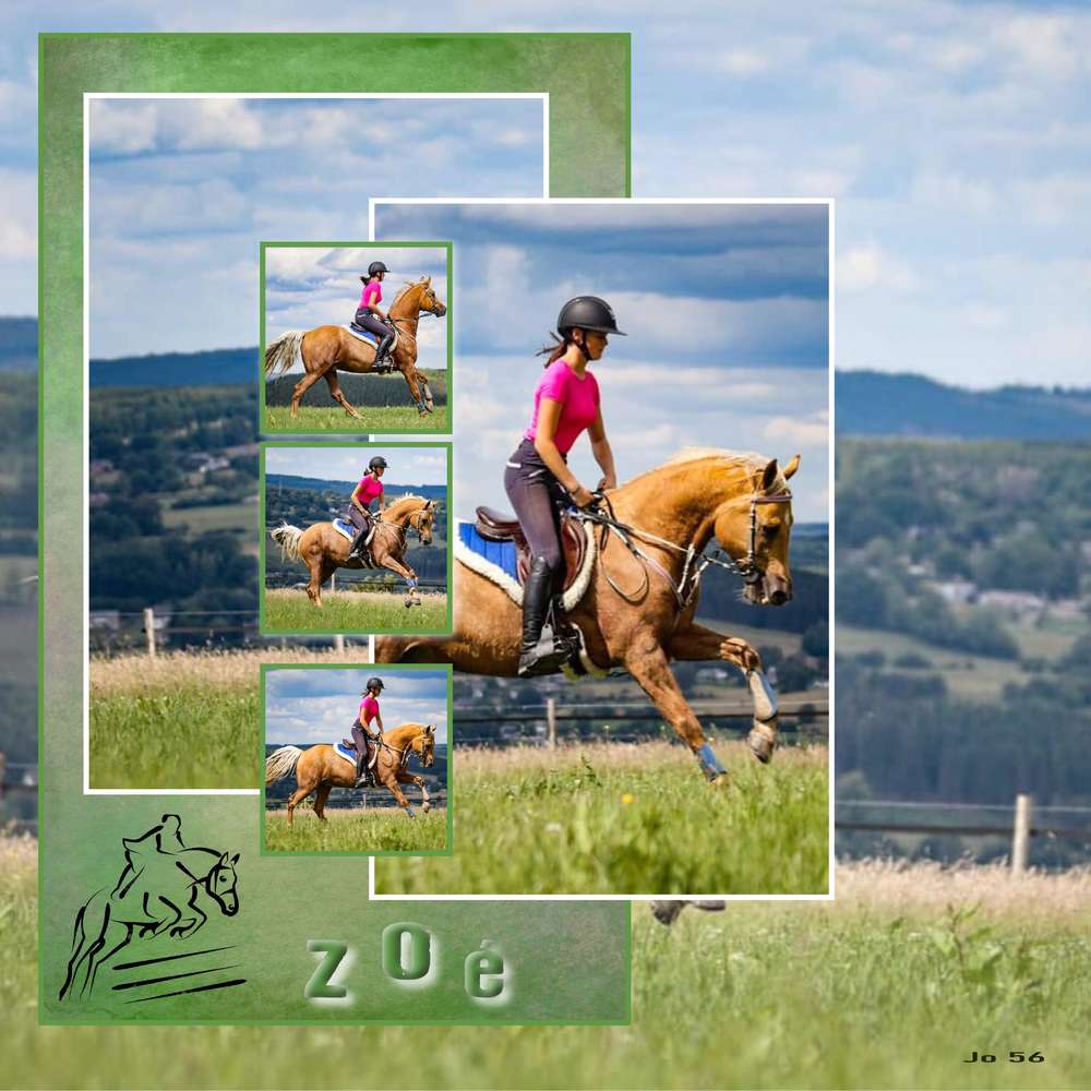 Dictée juin Mayrose (2)