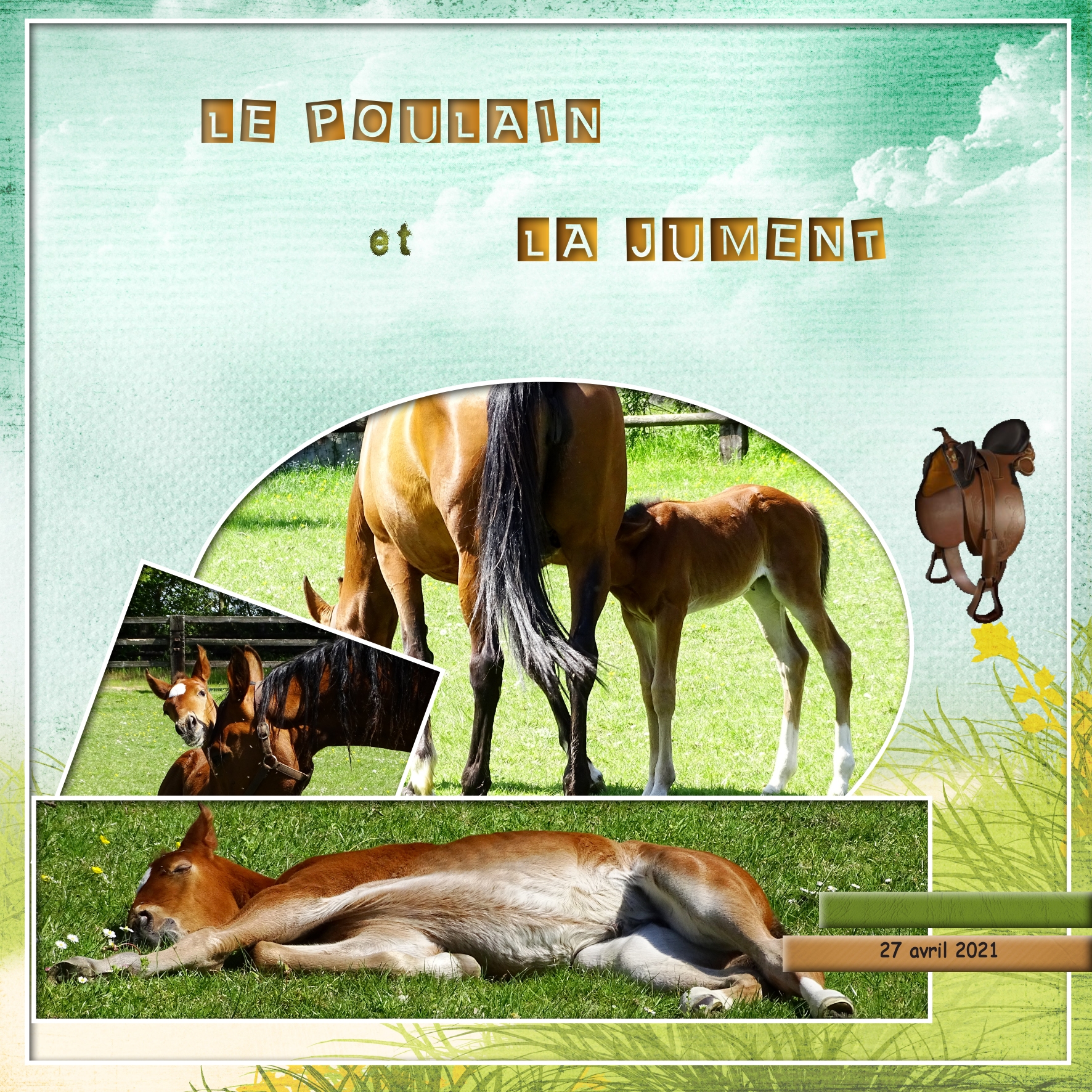 Dictée mai 2021 - Marie-Rose