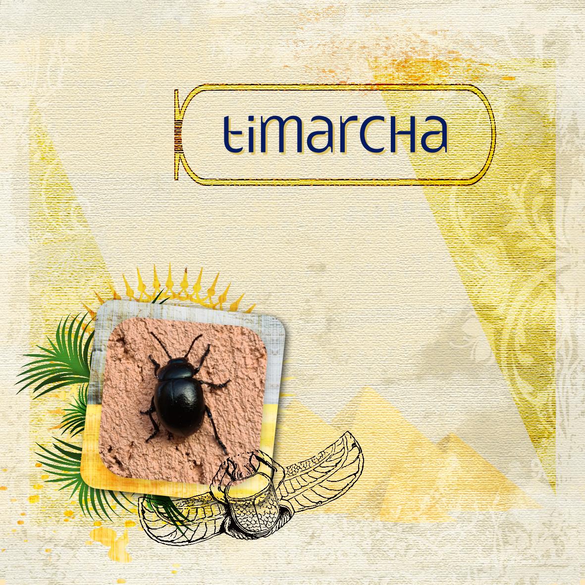 dictee mai 22 Timarcha.jpg