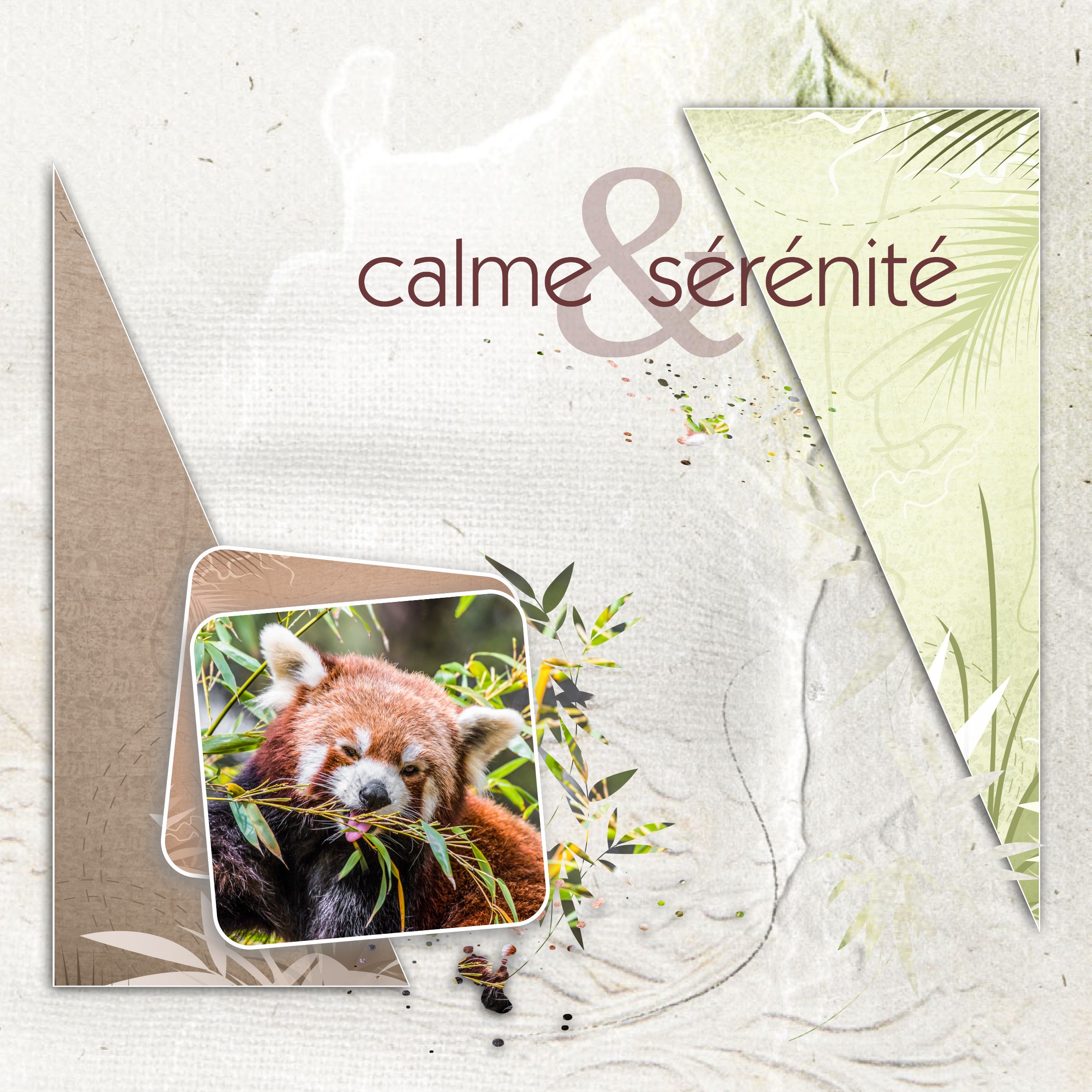 dictée Mai marie rose 1.jpg