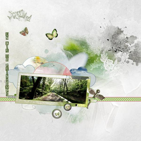 Dictée Mamyrose - janvier 2015