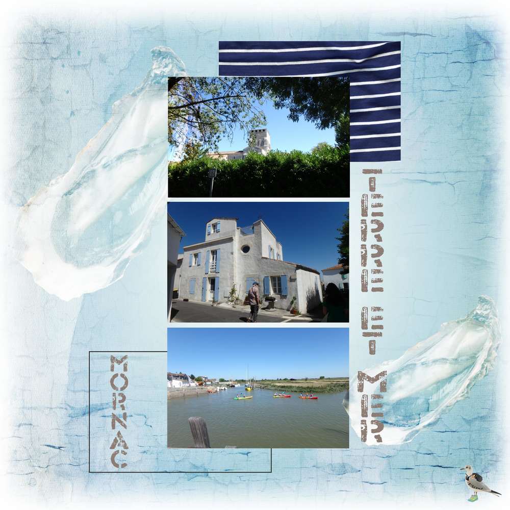 dictée Mamyrose-juillet