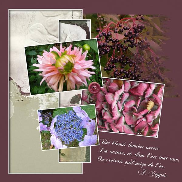 Dictée Mamyrose - rentrée.