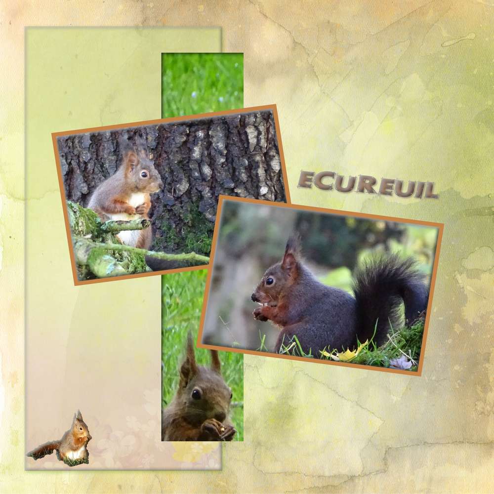 Dictée Marie-Rose - avril 2020