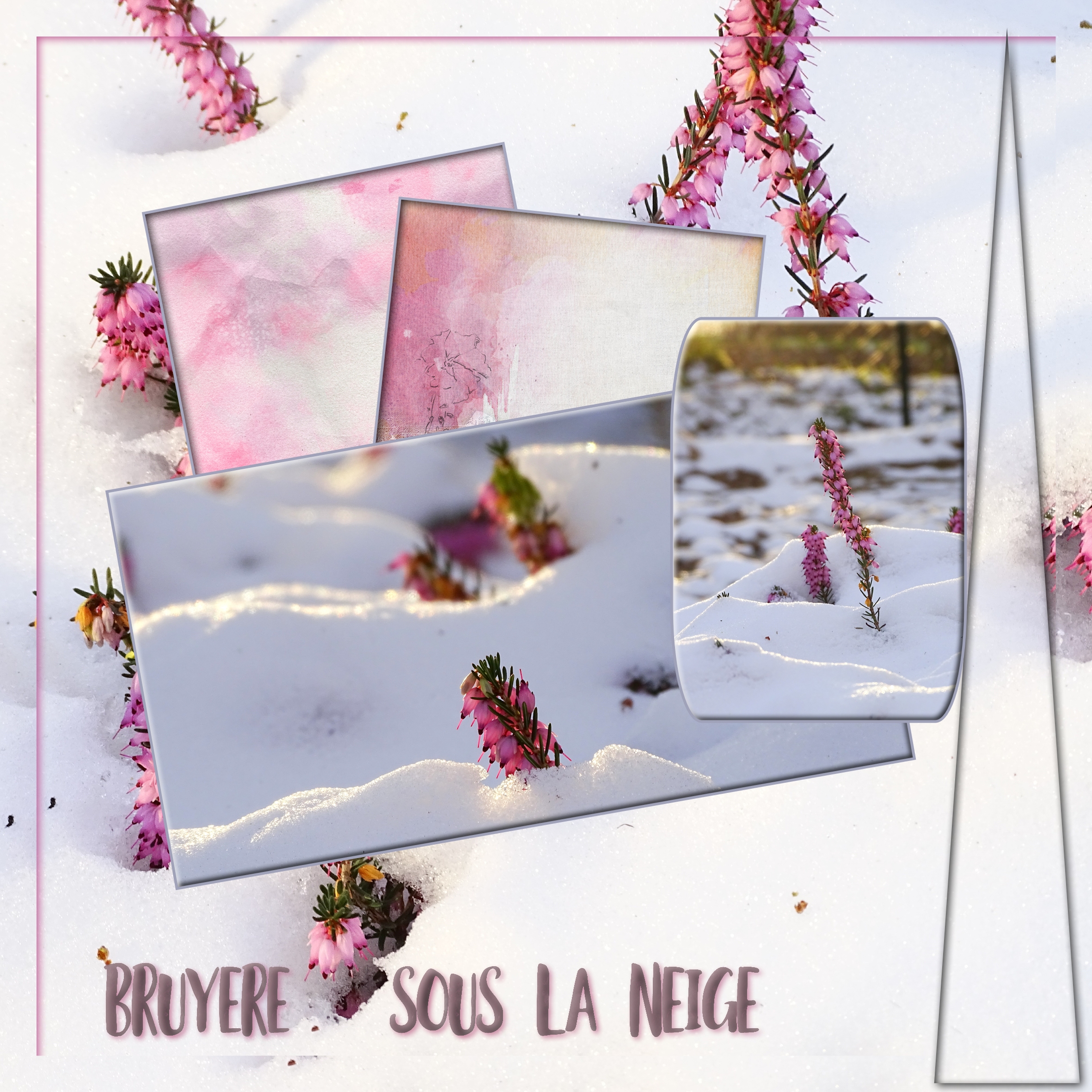 dictée Marie-Rose Février 2021.jpg