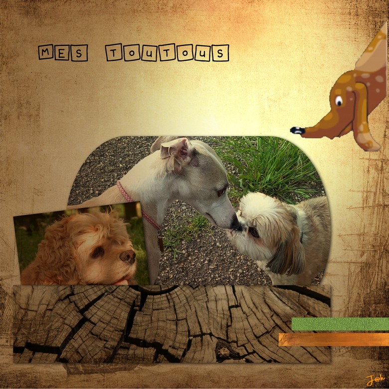 dictee moysin mai 2021 mes toutous.jpg