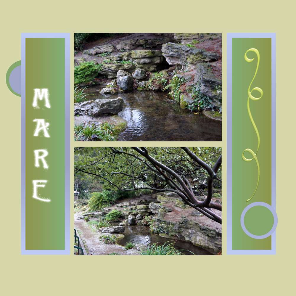 Dictée Moyson février 2016