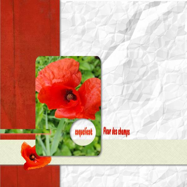 dictée n°3 - AOUT - MOYZON - corrigée !