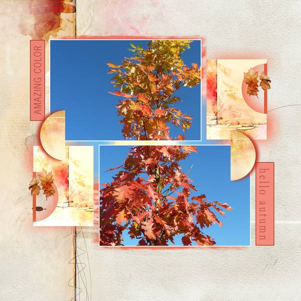 dictée novembre Mamyrose