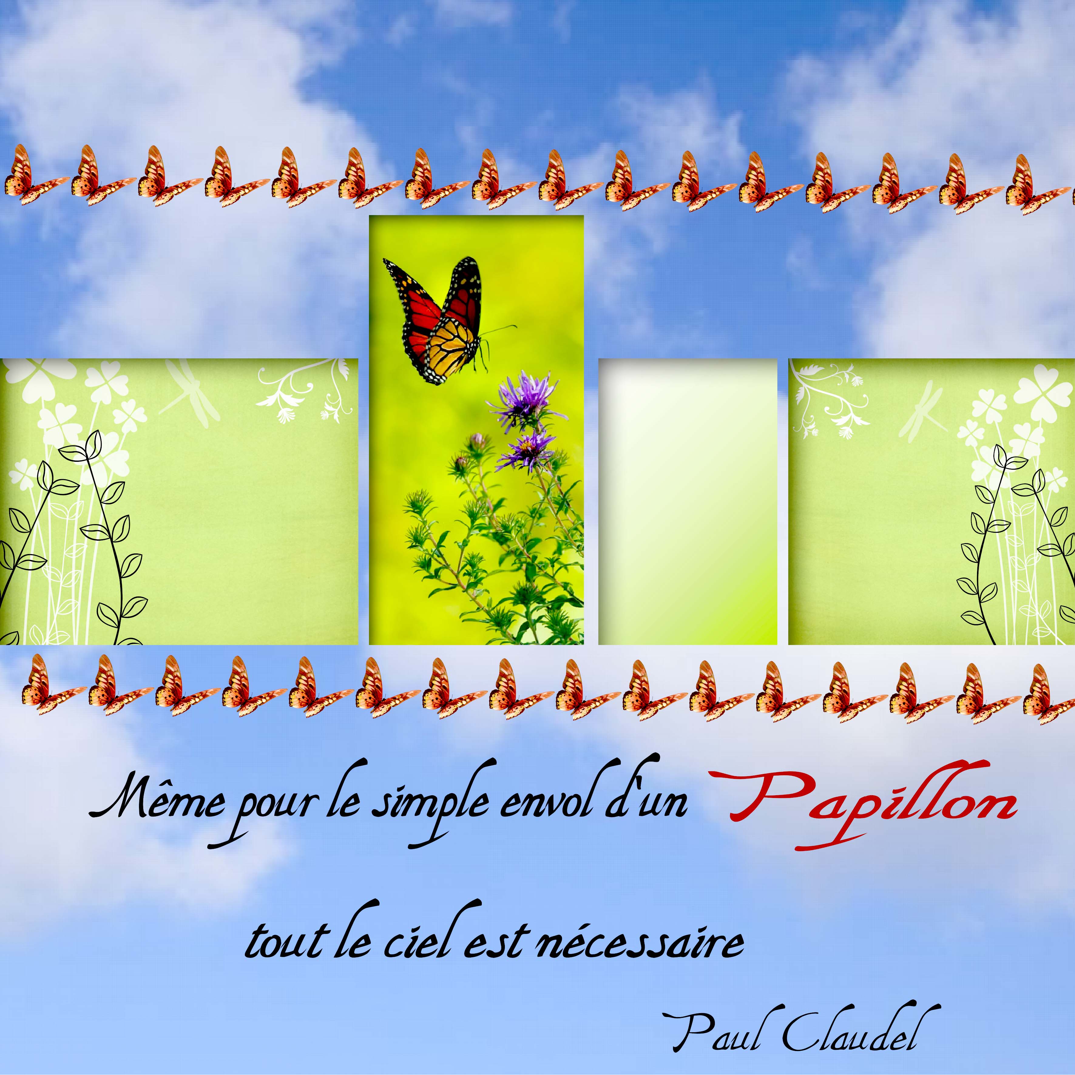 DICTEE Papillon