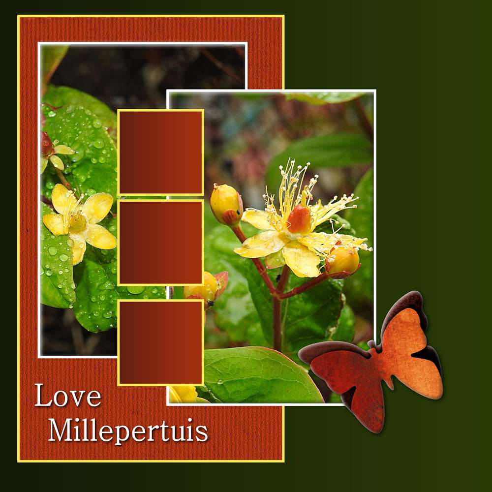 DICTEE POUR L'ETE 2020 PROPOSEE PAR MAMYROSE - MOYSON