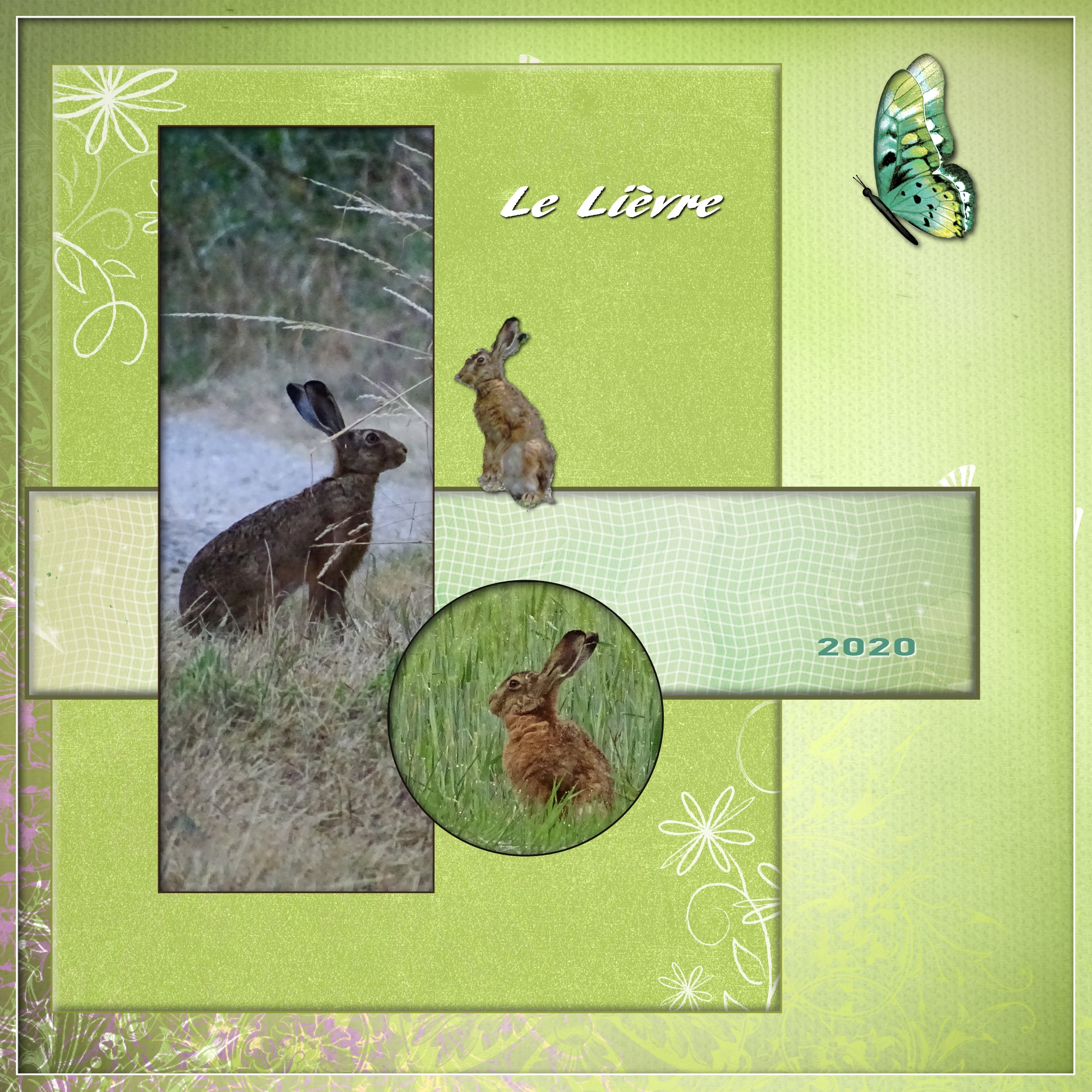 Dictée rentrée Marie-Rose - sept 2020