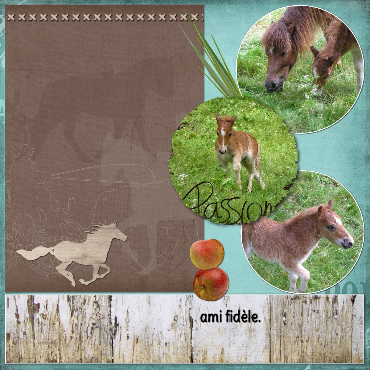 dictee septembre 20 chevaux.jpg