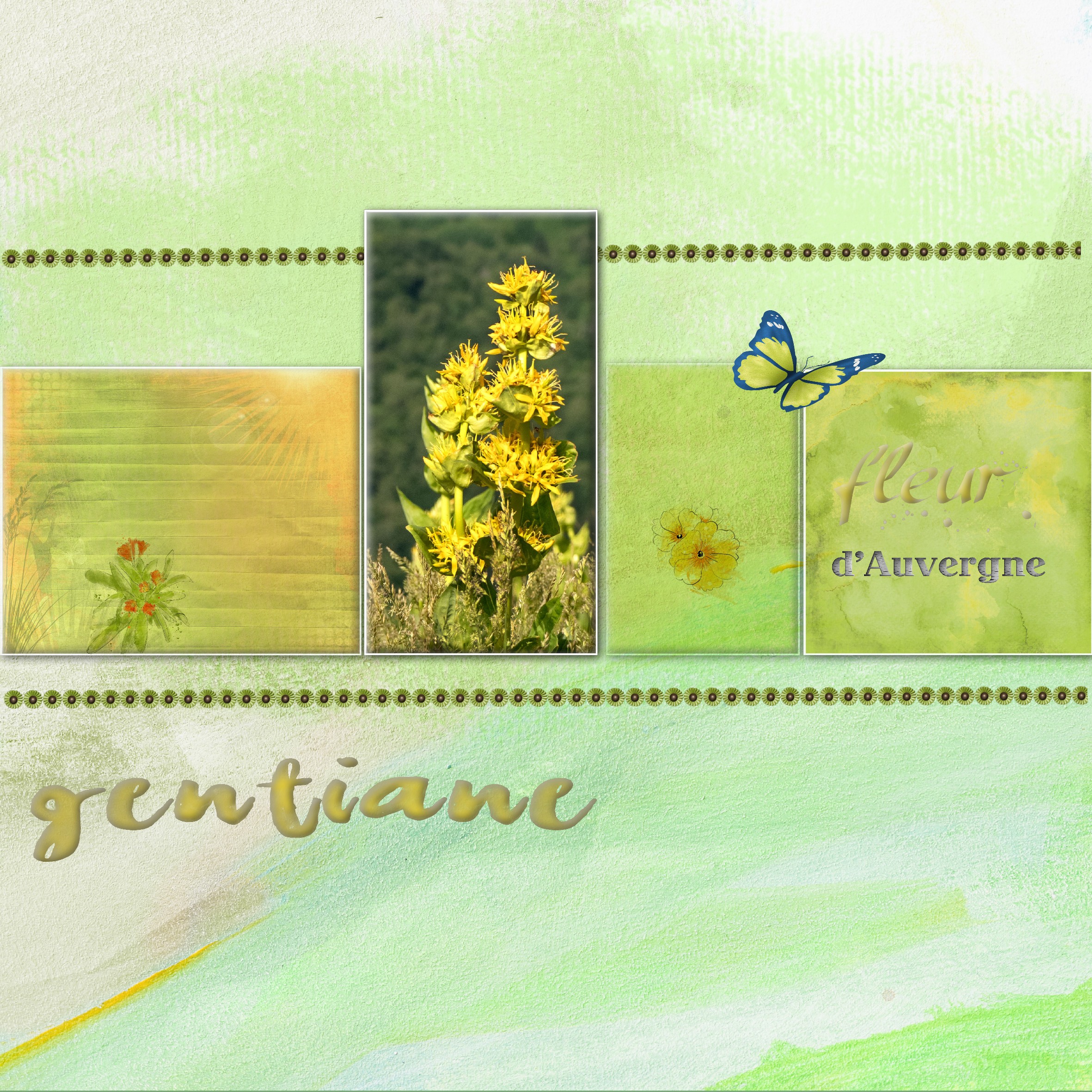 dictée shnoppyjuin2022.jpg