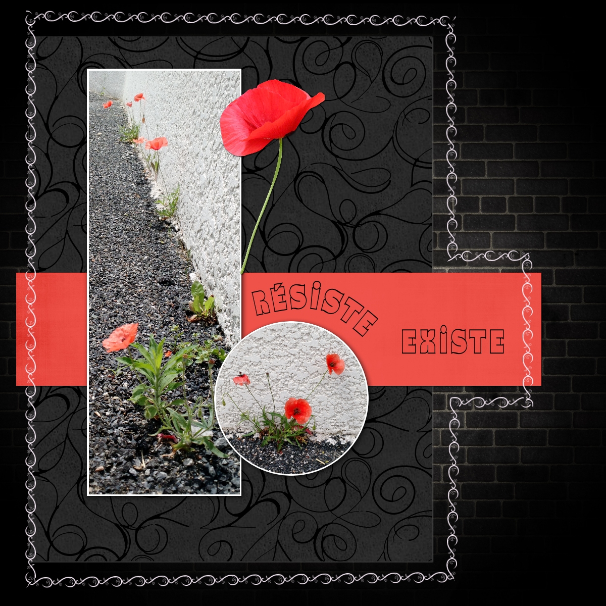 dictee version resilience.jpg