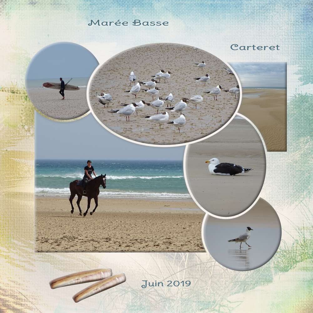 dictee_fin_de_vacances_Mamyrose