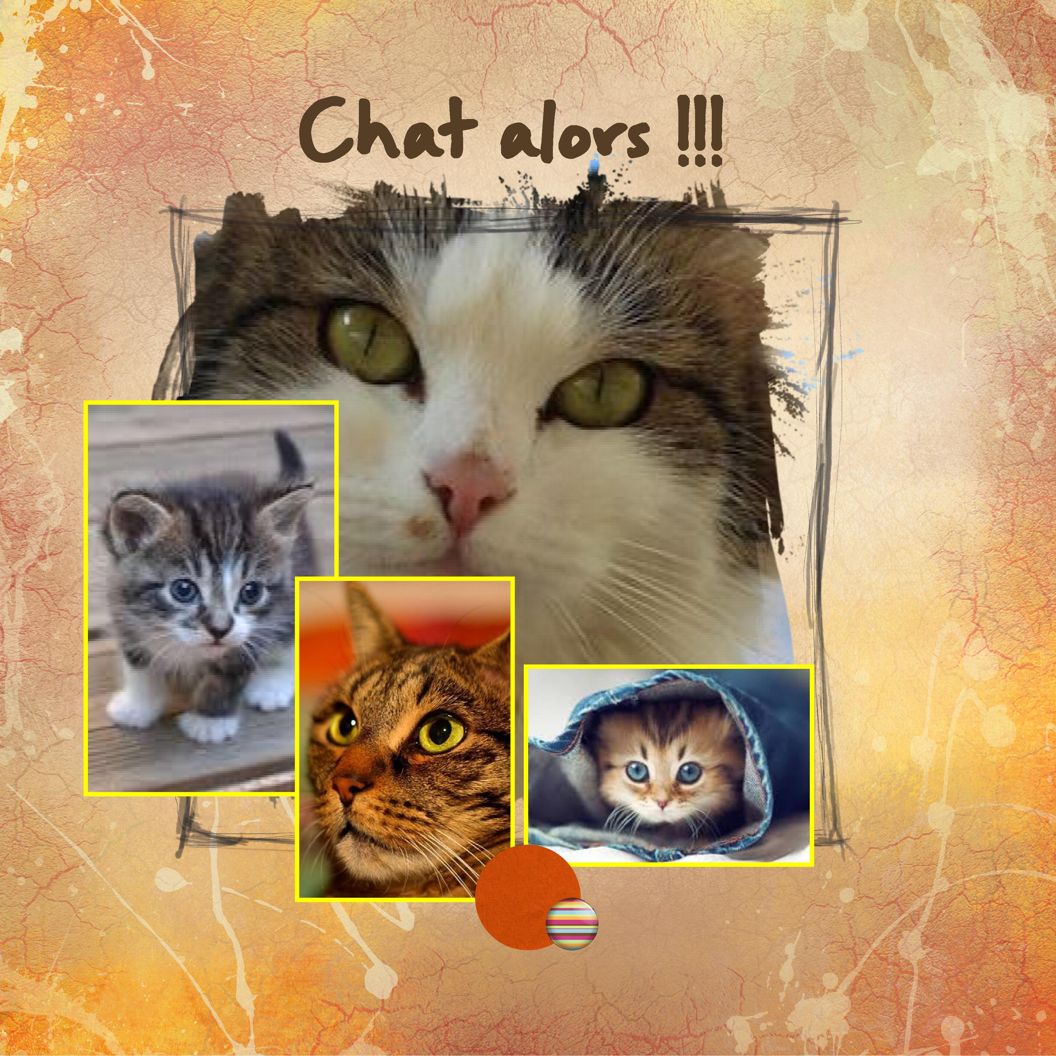 dicteemoysan mars 2021.jpg