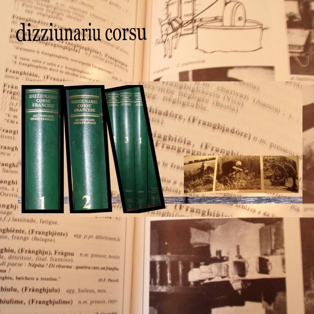 dictionnaire corse- français