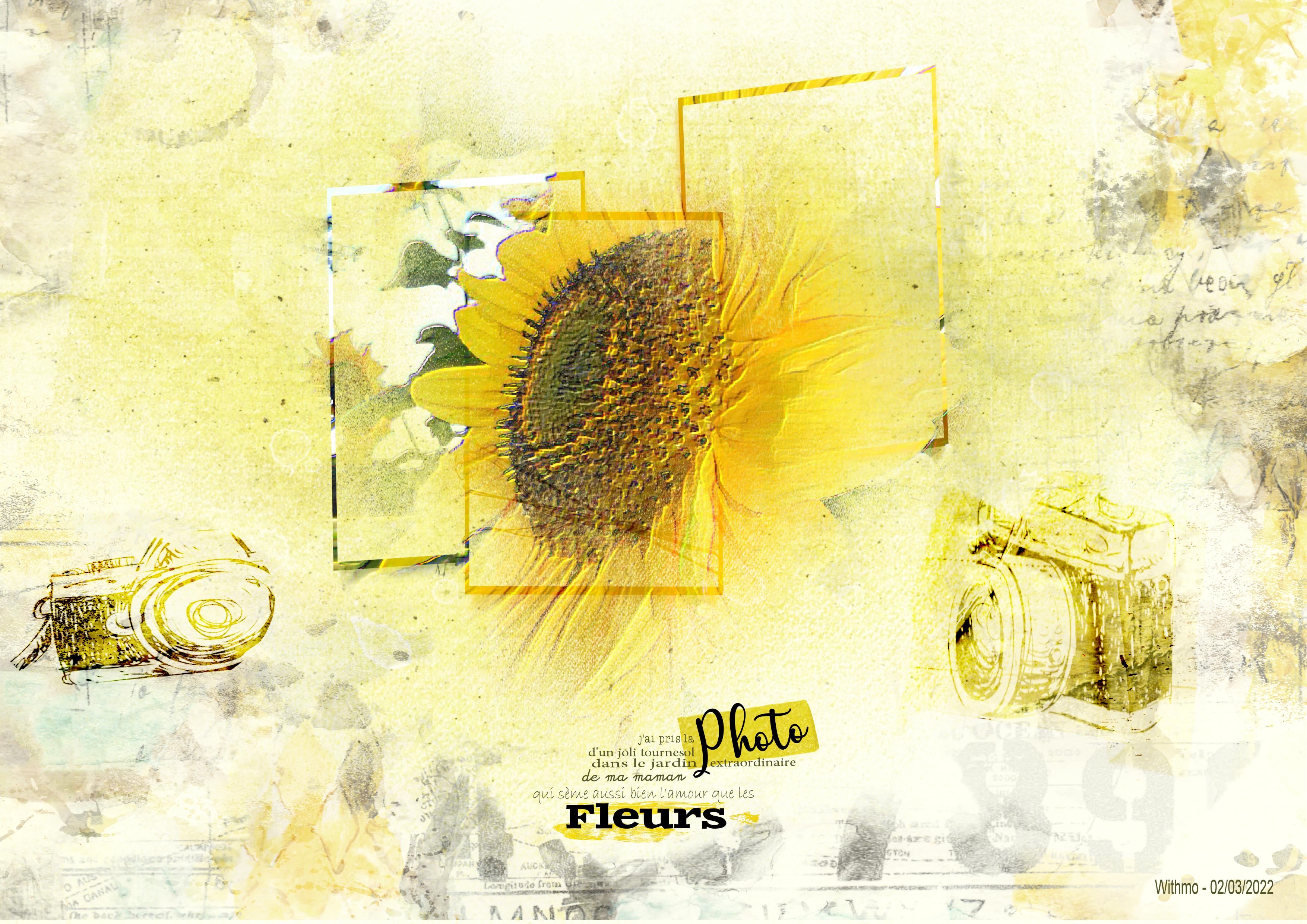 digiscrap texture theme photo_le tournesol.jpg