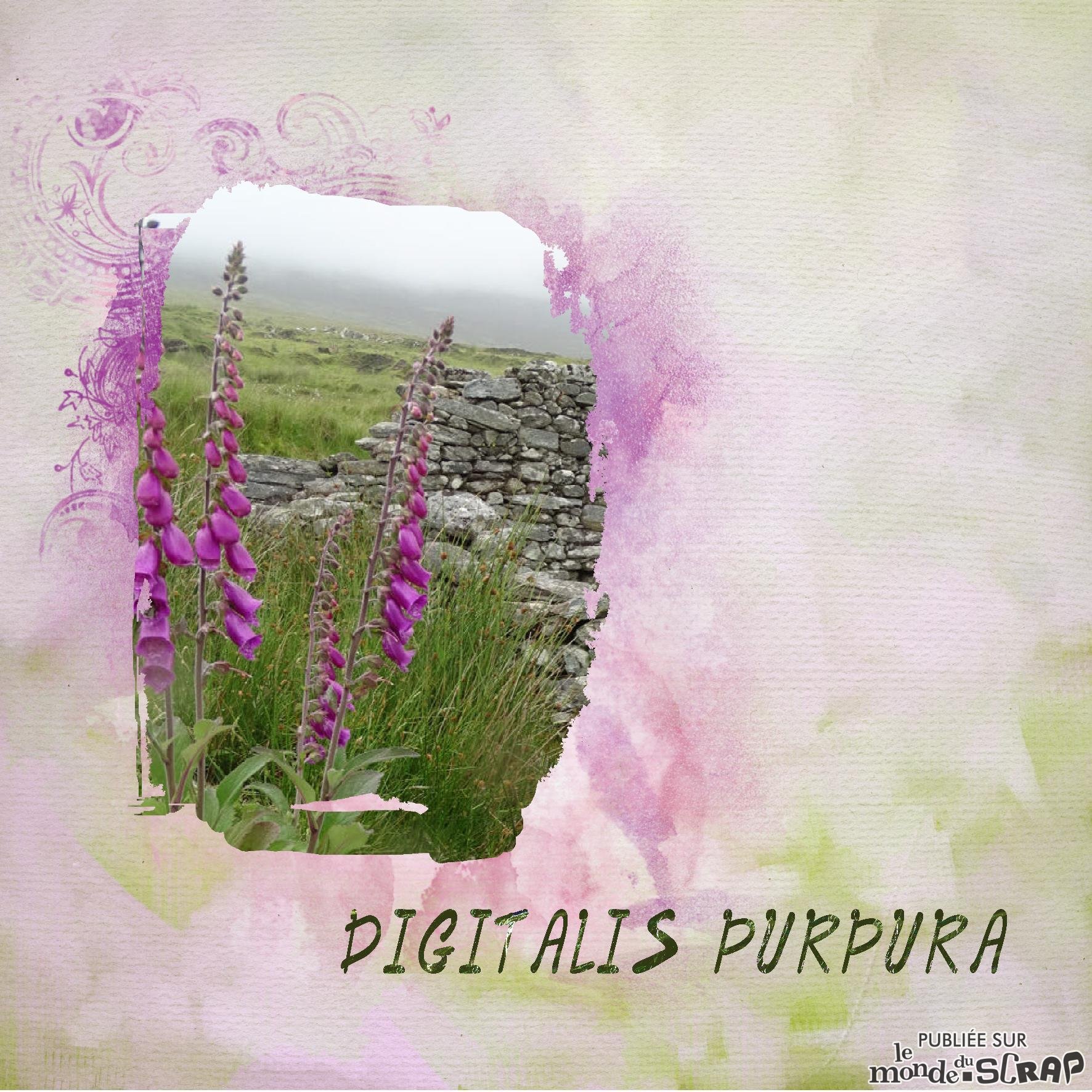 digitalis.jpg