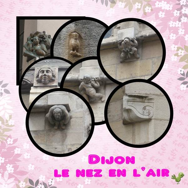 Dijon, le nez en l'air