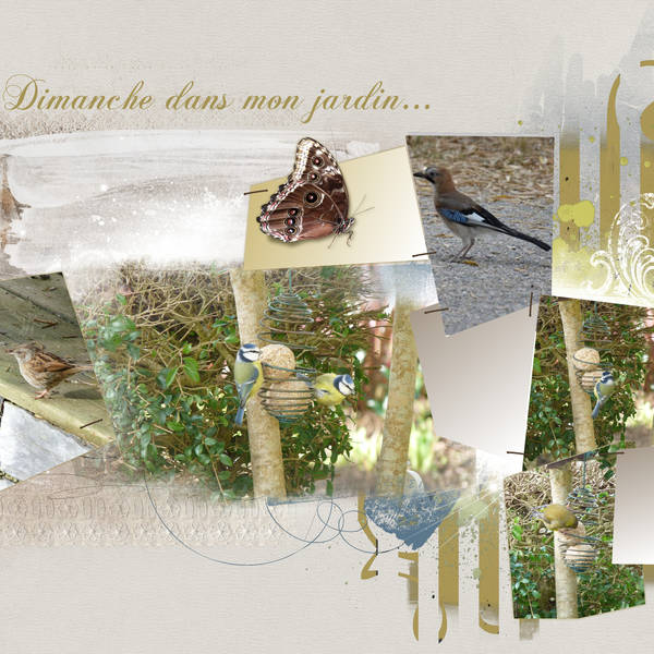 Dimanche dans mon jardin...