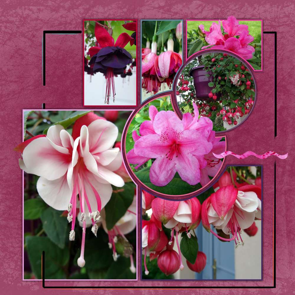 Dites le avec des fleurs