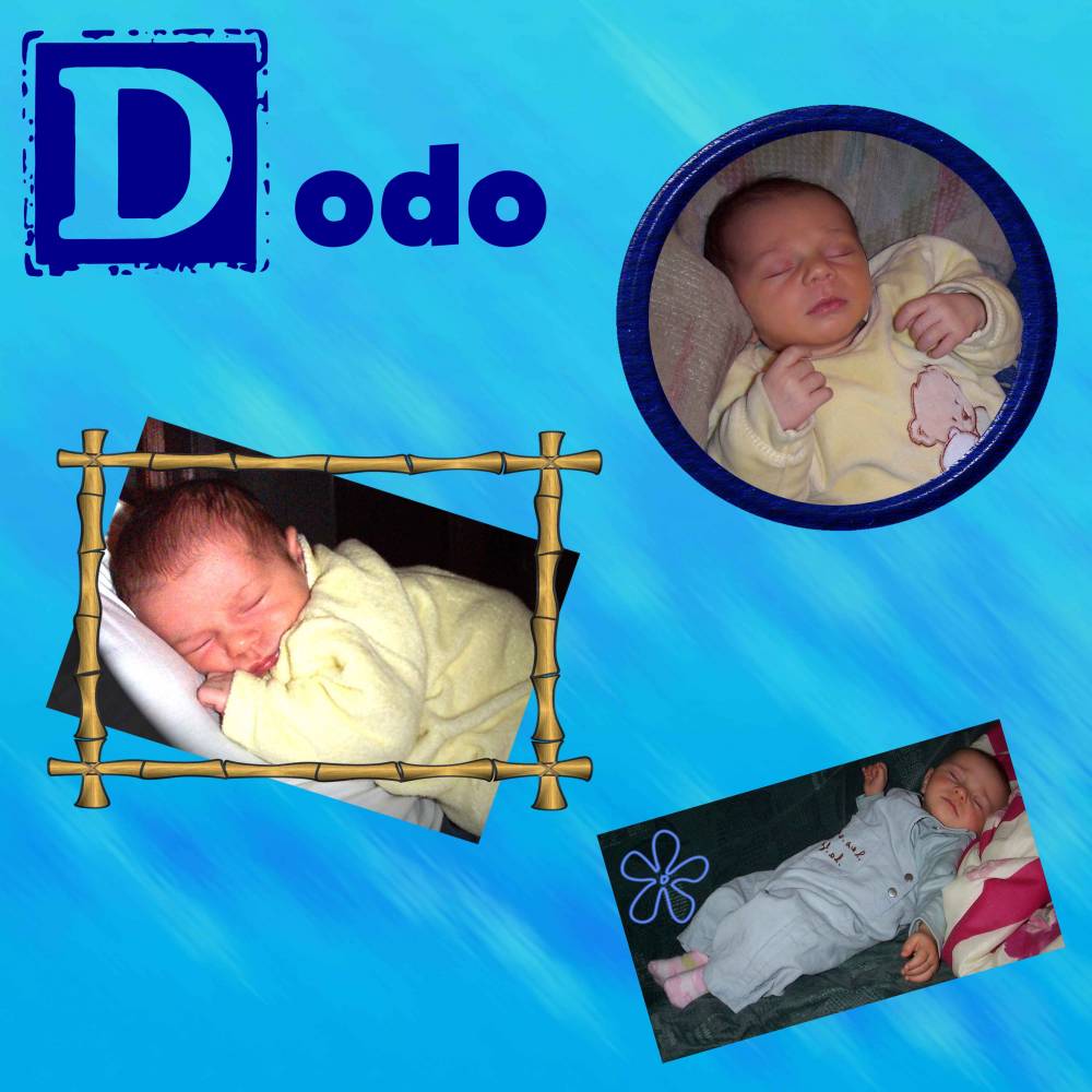 Dodo1