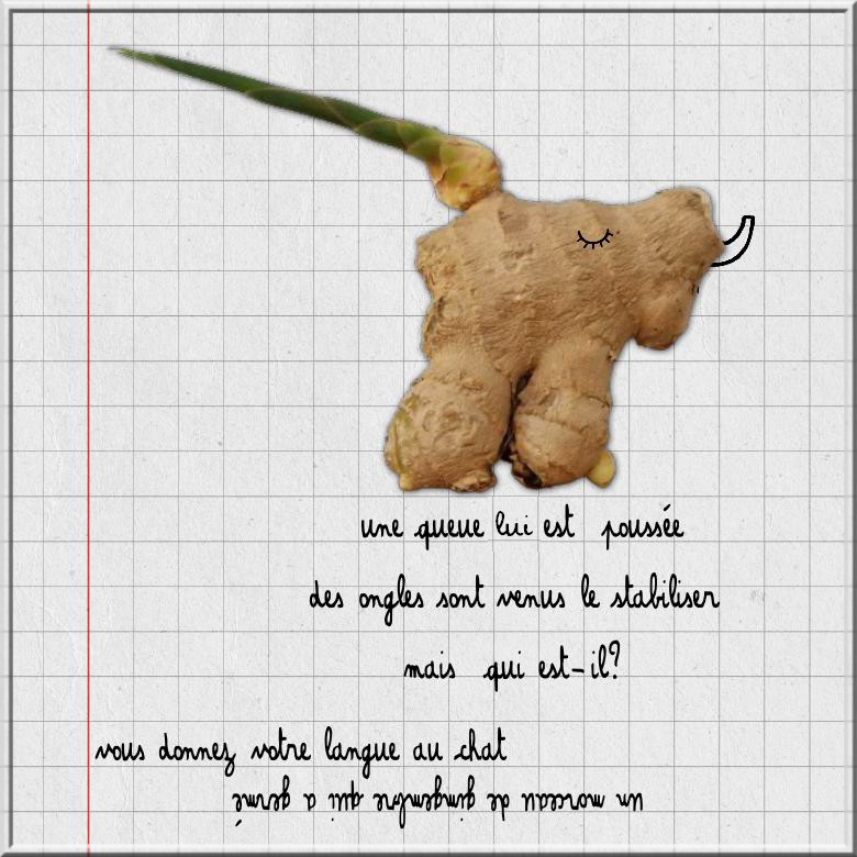 donnez votre lange au chat.jpg