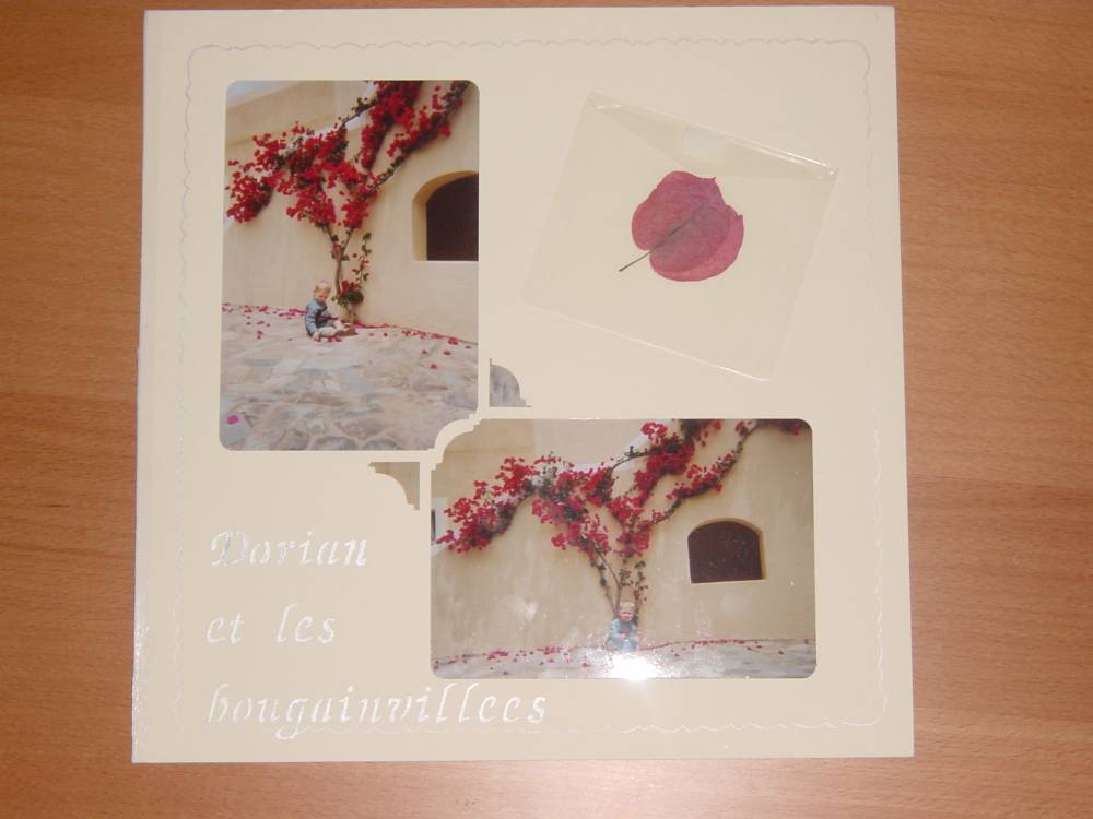 Dorian et les bougainvillées