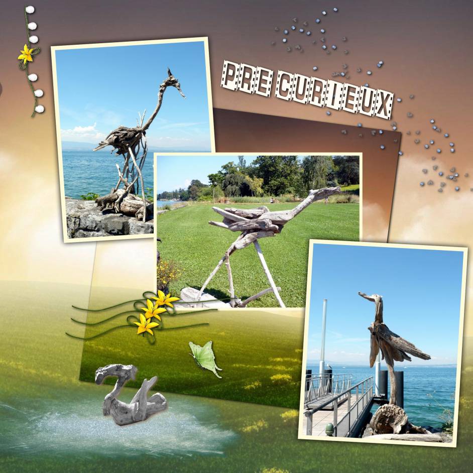 double page sculptures bois flotté