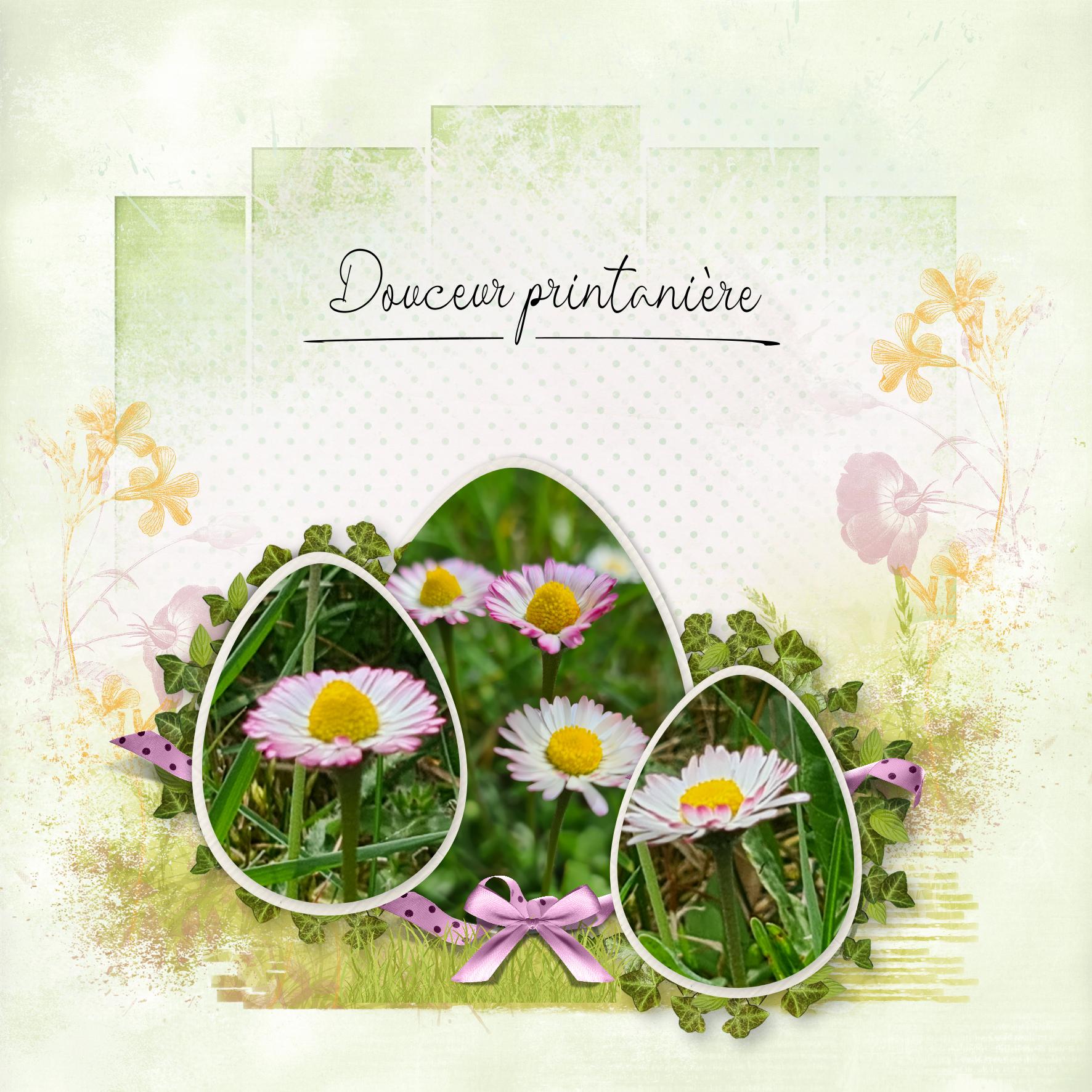 douceur printanière .jpg