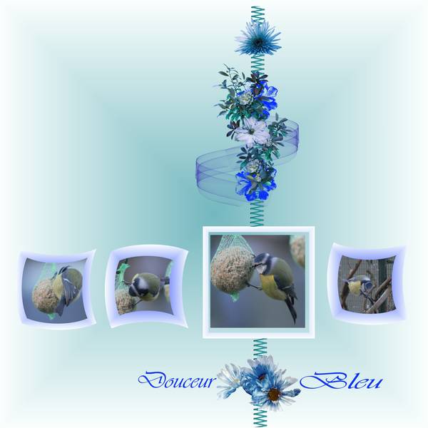 Douceur_Bleu