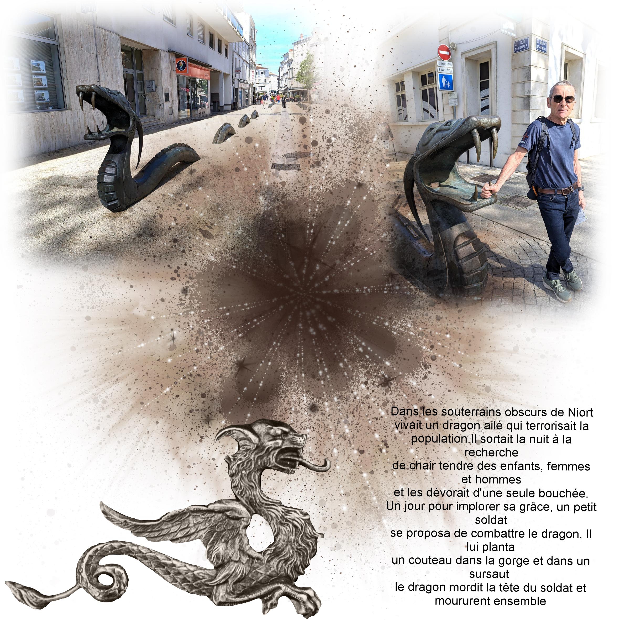 dragon niort.jpg