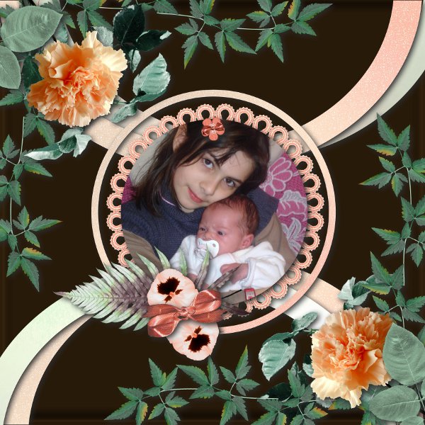 Dream of Falls de Desclics et JosyCréations