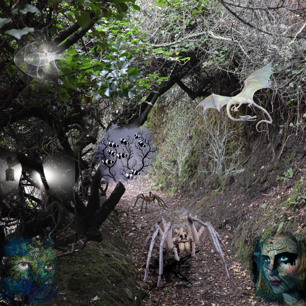 DTb_2017_Perros_Guirec