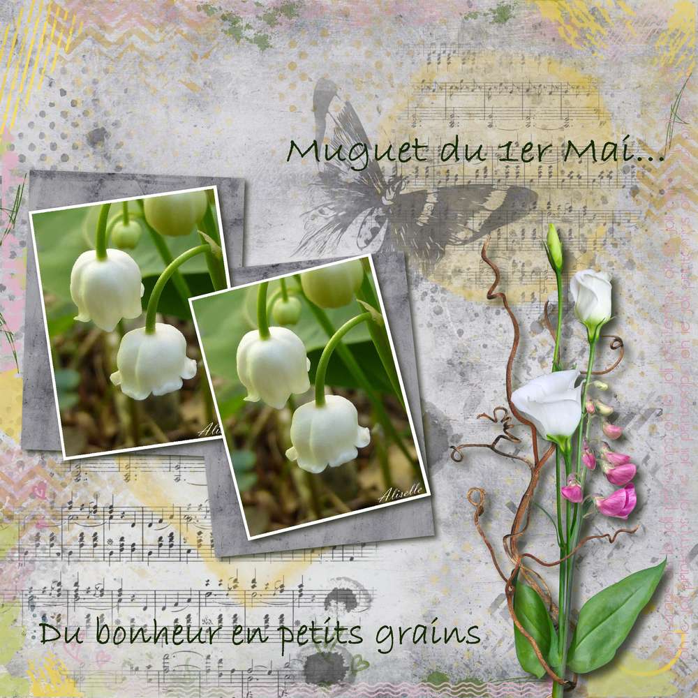 Du bonheur en petits grains