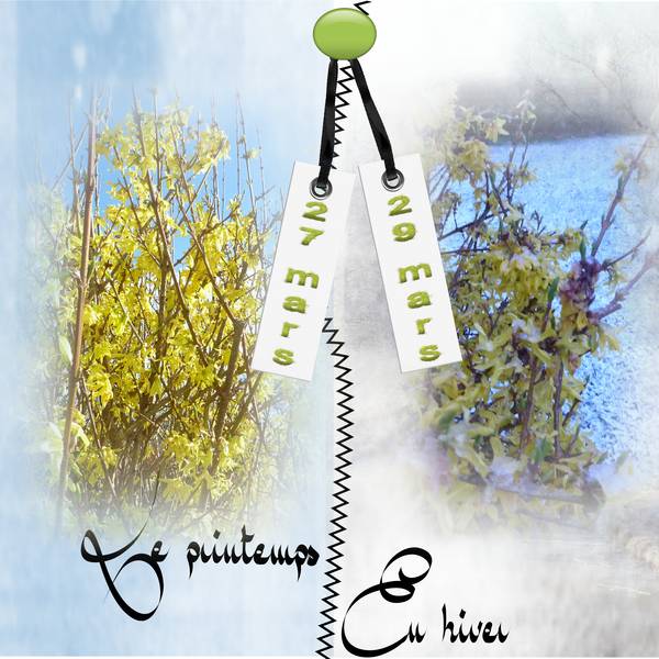 du printemps à l'hiver