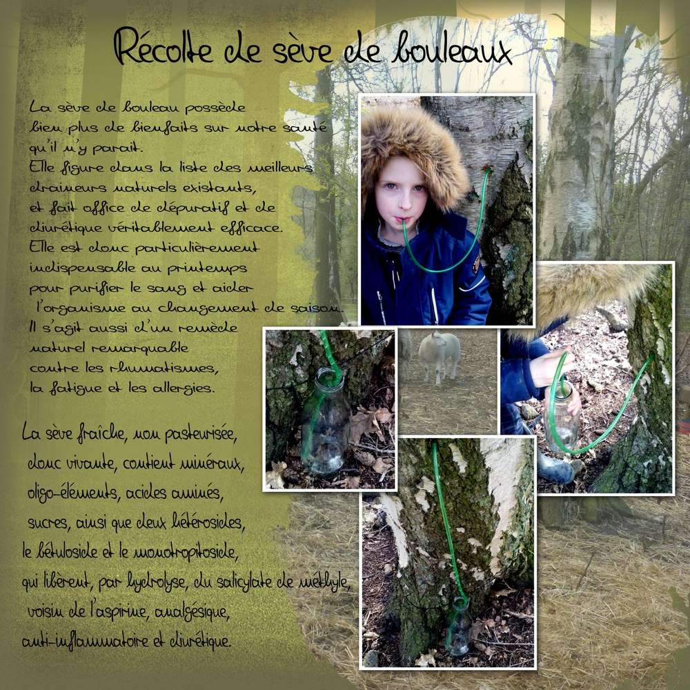 DU PRODUCTEUR AU CONSOMMATEUR