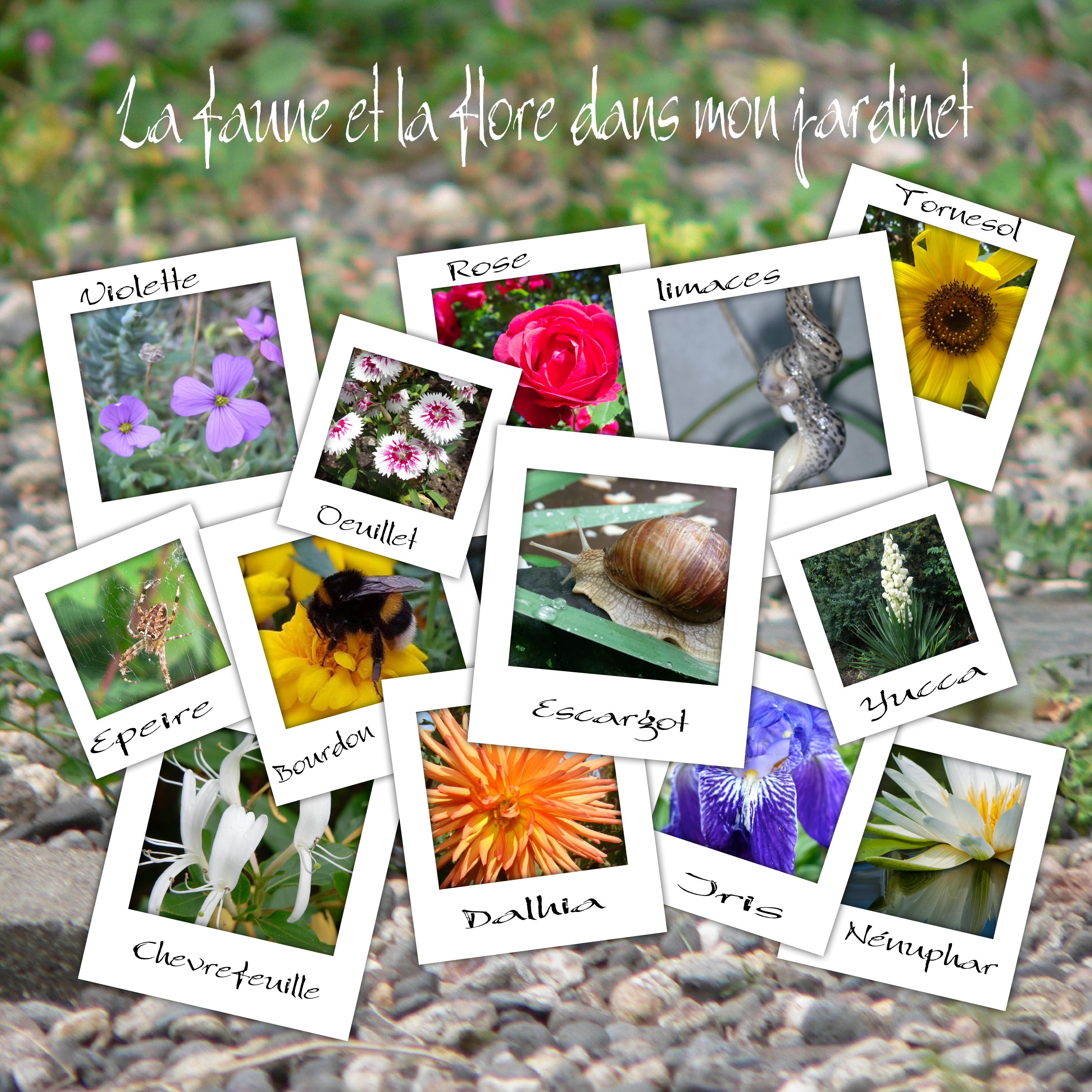 duo septembre la faune et la flore .jpg