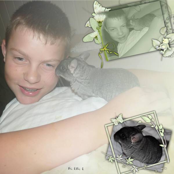 Dylan avec un bb chinchilla