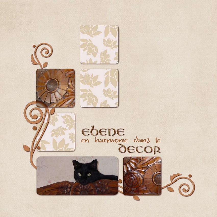 Ebène...dans le décor!