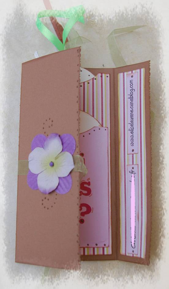 échange cartes scropines avec LILLYNET 1