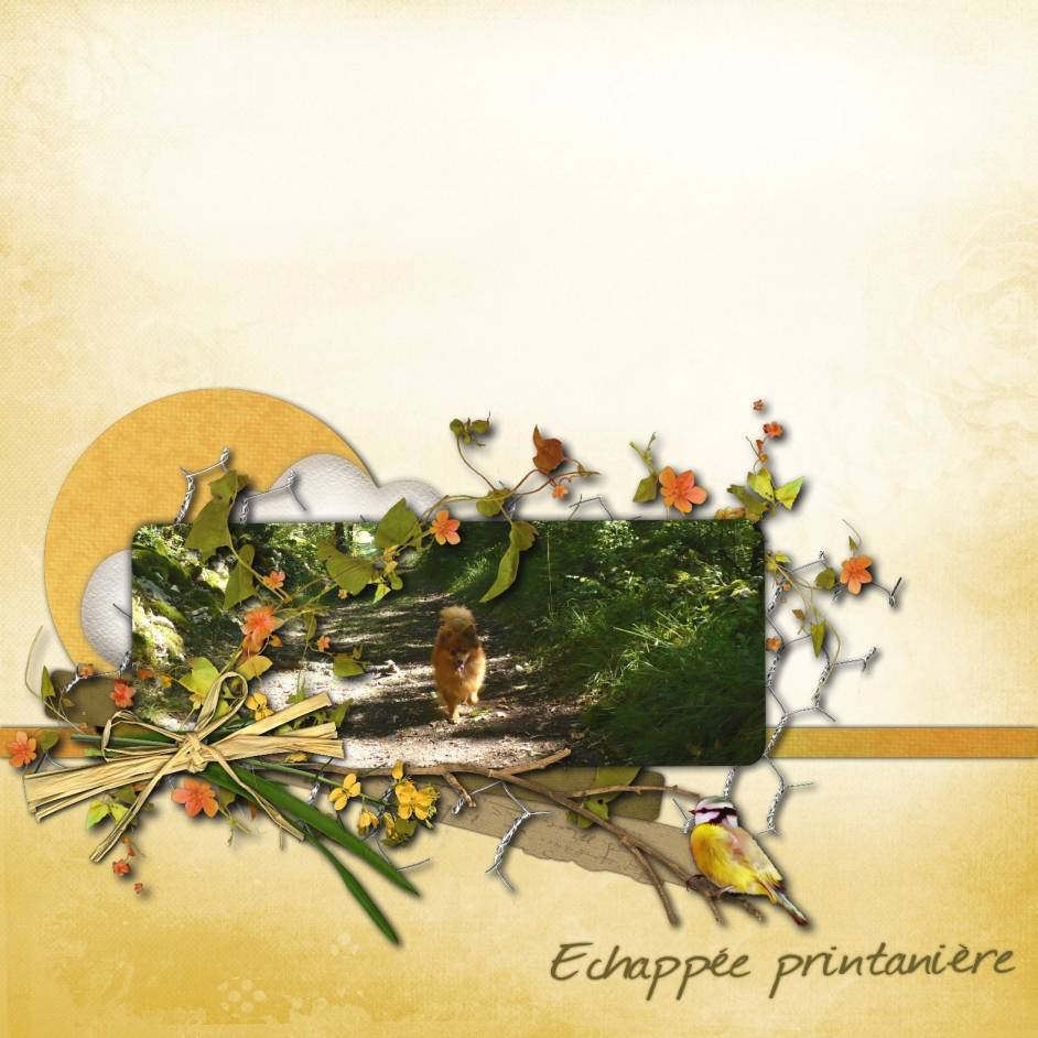 Echappée printanière