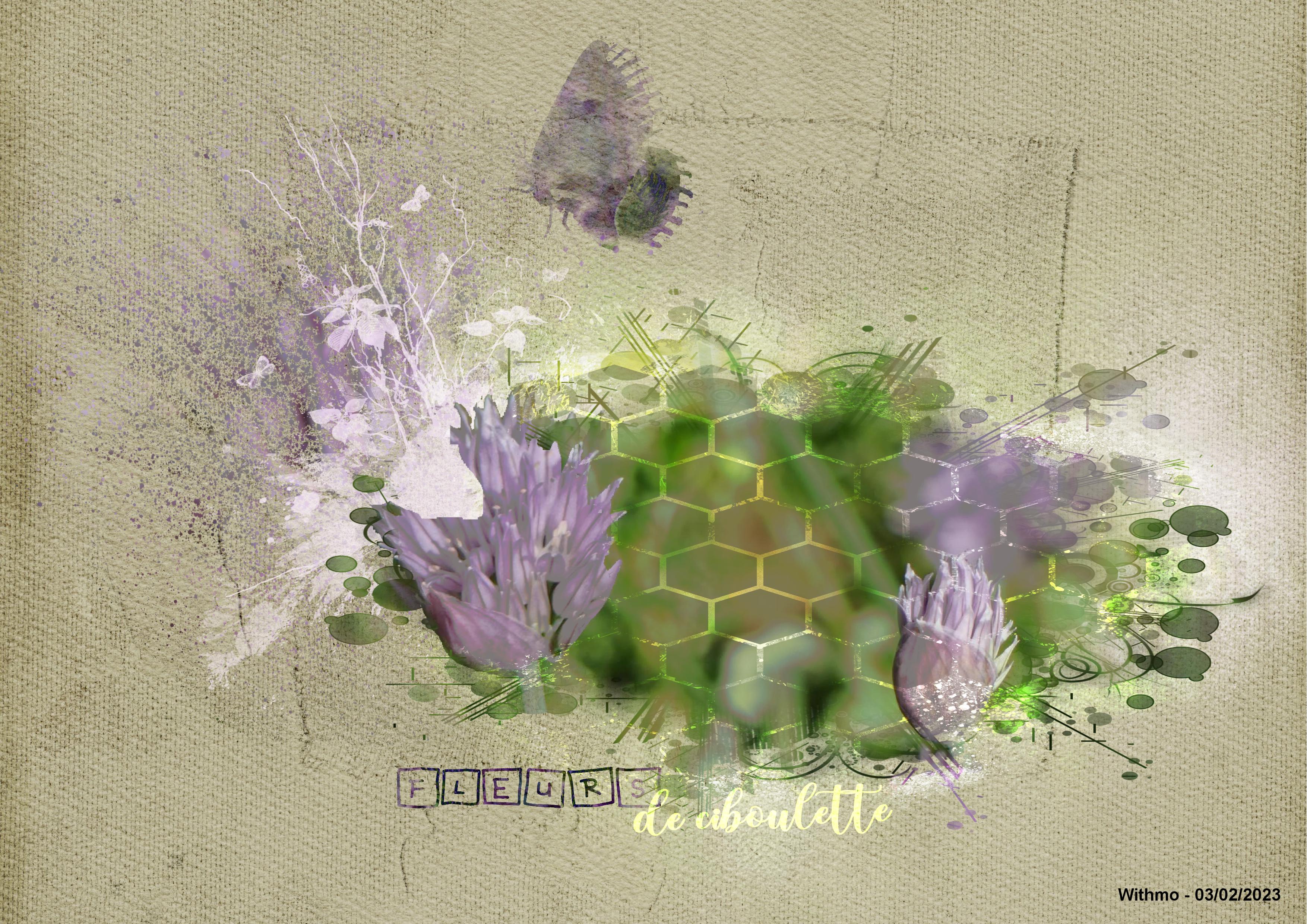 éclats de fleurs.jpg